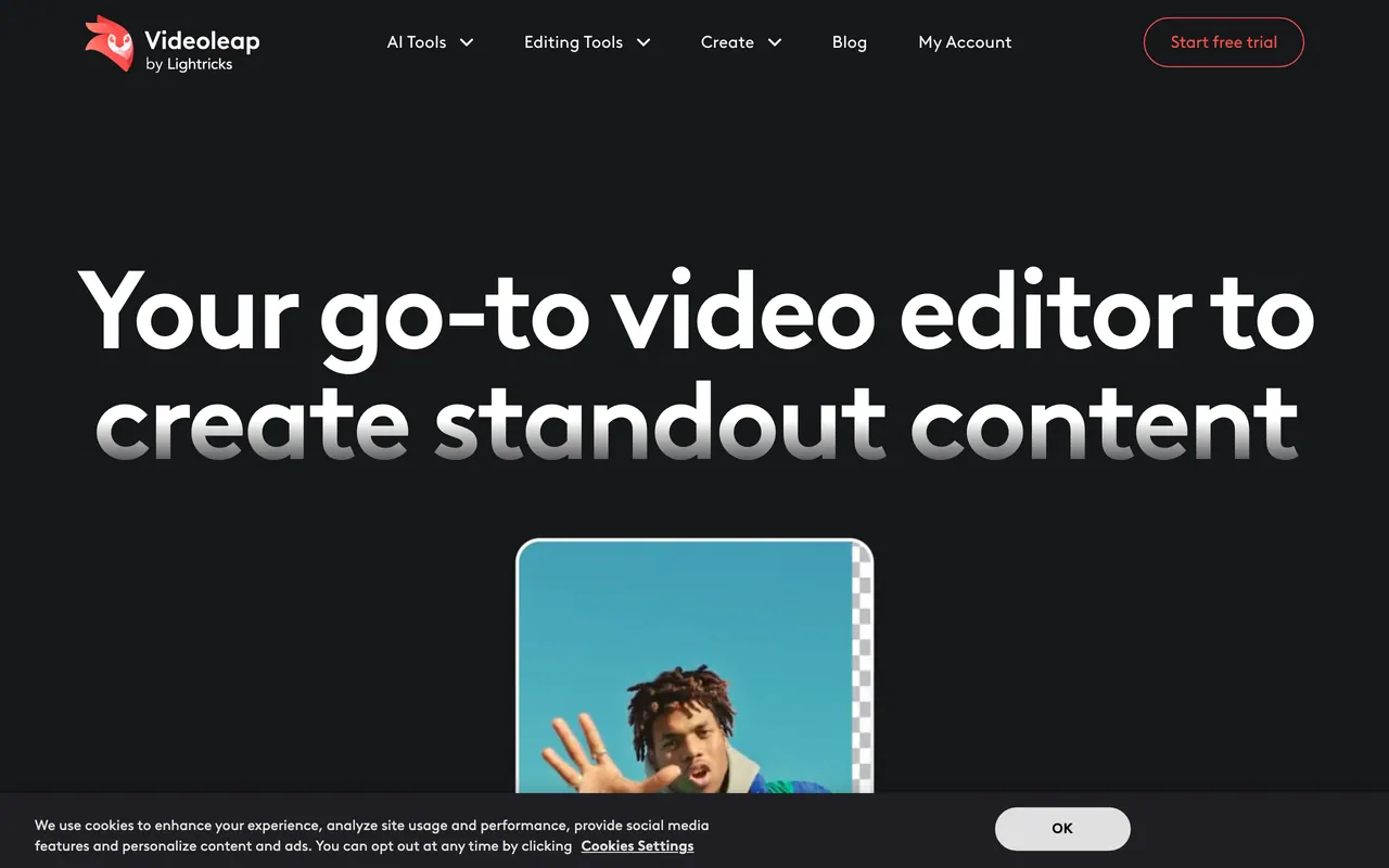 Screenshot of Videoleap